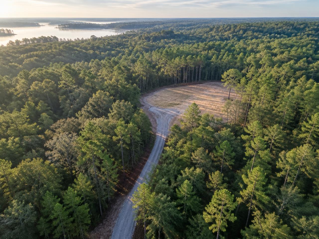 Wooded land parcel with gravel access road